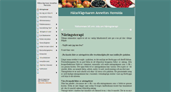 Desktop Screenshot of halsovagvisaren.se